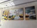 诗六艺家饰客厅装饰画北欧现代简约沙发背景墙挂画三联画大气轻奢壁画晶瓷画 家和富贵A（铝合金外框） 晶瓷画左右50*70+中间100*70亮面 实拍图