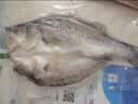 仙泉湖三去白蕉海鲈鱼1斤/条净膛刺少肉厚珠海特产500g海鲜水产生鲜食材 实拍图
