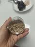 三只松鼠松子仁100g/罐 东北松子每日坚果果仁炒货休闲零食原味去壳非油炸 实拍图
