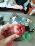 骑猴赶马黑金刚莲雾(顺丰)当季新鲜热带水果送礼孕妇海南/福建莲雾 1斤 尝鲜装【单果约50g】 团购/售后详询客服 实拍图