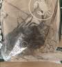 鲜活小青龙200-300g/只 实拍图