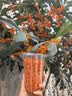 九阳（Joyoung）有钛破壁机家用轻音全自动多功能降噪预约豆浆机榨汁辅食机1.75L五谷杂粮3-5人金榜 Y915s 实拍图