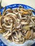 美加佳阿根廷三去鱿鱼须500g 去牙去头去脏鱿鱼爪 海鲜水产火锅聚餐 实拍图