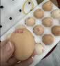 都丰年（DUFENGNIAN）鸽子蛋20枚共400g 鲜鸽子蛋 源头直发 杂粮喂养 孕妇宝宝放心吃 实拍图