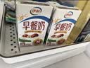 伊利早餐奶 新疆红枣250ml*16盒*1箱 礼盒装 实拍图
