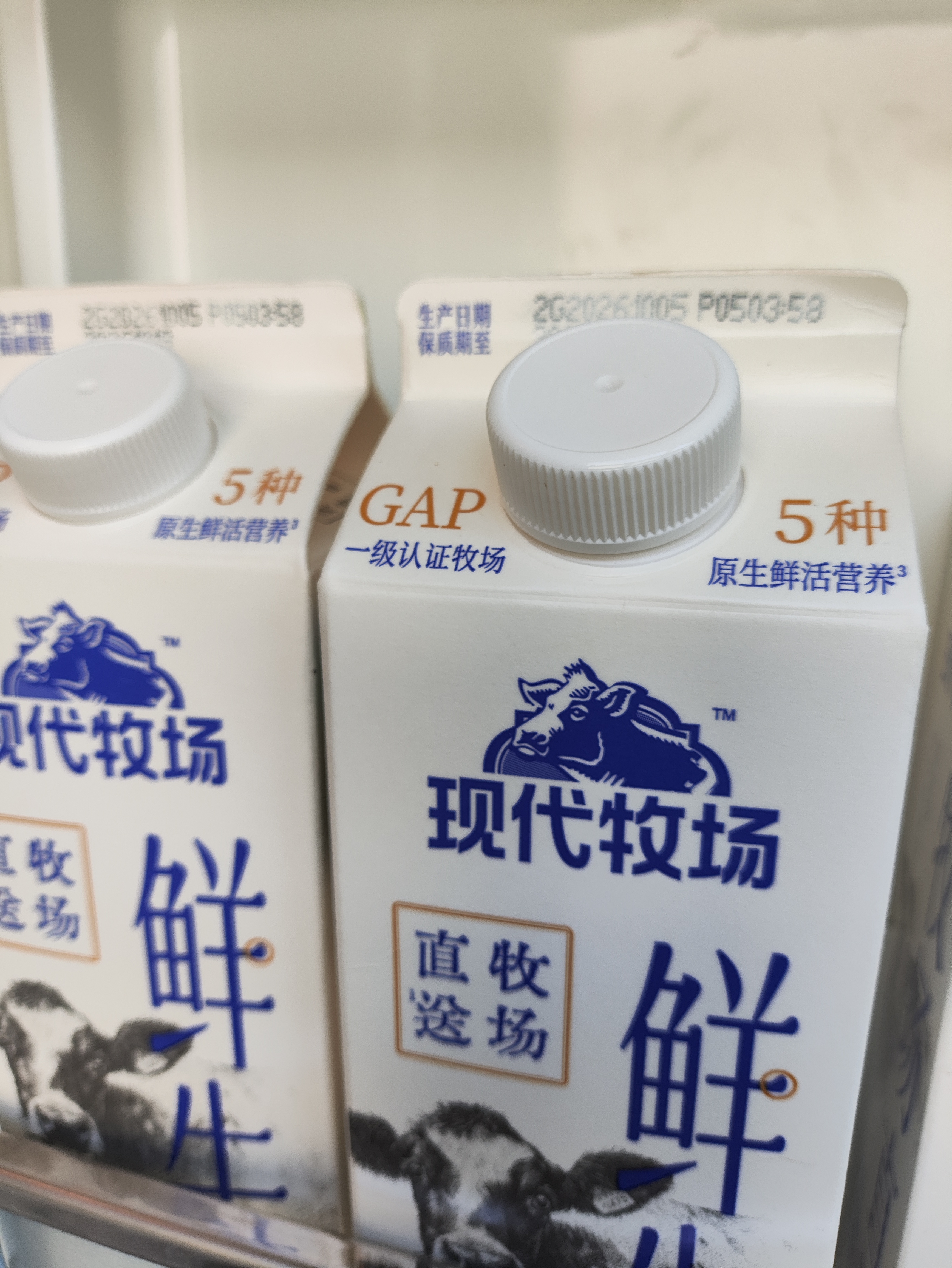 蒙牛（MENGNIU）现代牧场鲜牛奶屋顶包960ml巴氏杀菌低温奶 实拍图