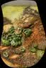 GUO LIAN国联小霸龙青花椒烤鱼2斤2-3人份烧烤加热即食夜宵预制菜 实拍图