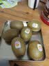佳沛（zespri）新西兰金奇异果12粒特大果124-146g猕猴桃水果礼盒 实拍图