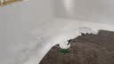 三棵树漆（SKSHU）水性地坪漆 耐磨车间水泥地面漆室内外家用地板改造油漆5kg 实拍图