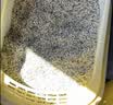 福丸自然空气豆腐膨润土混合猫砂除臭低尘不易粘底龙井绿茶2.5kg*4 实拍图