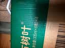 农夫山泉东方树叶桂花乌龙茶335ml*24瓶无糖茶饮料0糖0脂0卡【金秋限定】 实拍图