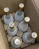 汾酒 黄盖玻汾 清香型白酒 53度 475mL*6瓶整箱 年份随机 实拍图