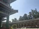 京东京造 羽柔纸巾 3层110抽*24包 卫生纸 餐巾纸擦手纸 整箱抽纸京东自营 实拍图