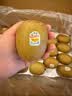 佳沛（zespri）新西兰金奇异果22粒巨大原箱146-175g猕猴桃水果礼盒 实拍图