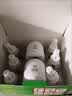 榄菊电蚊香液6瓶+2器无香菊之语热门商品电热蚊香液电蚊香驱蚊液 实拍图