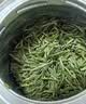 竹叶青绿茶2026明前春茶 峨眉山特级50g 四川名片15007 实拍图