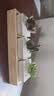 两腿跑教师节多肉植物带盆办公室桌面盆栽组合绿植花卉幼儿园盆栽 简约3盆(带盆栽好) 实拍图