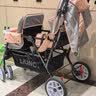 liuncy双胞胎婴儿推车前后坐二胎双人可坐躺轻便折叠儿童手推车 实拍图
