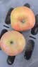 正宗红富士丑苹果脆爽多汁应季红富士苹果新鲜苹果多仓混发 整箱1斤净重0.7斤中果2粒【果径70-75】 实拍图