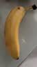黄胖子进口香蕉650g 实拍图