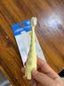 布朗博士婴儿乳牙刷 0-3岁软毛护龈训练款 防蛀牙启蒙学习牙刷（大象绿） 实拍图
