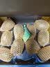 佳沛（zespri）新西兰金奇异果10粒巨大果146-175g猕猴桃水果礼盒 实拍图
