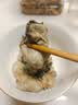 一虾一世界鲜活乳山生蚝带壳/现剥速冻去壳生蚝肉 新鲜牡蛎海蛎子 火锅烧烤 去壳生蚝肉3斤【250g*6盒】 实拍图
