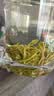 京东京造【2026新茶】明前特级安吉白茶100g绿茶茶叶高品质自己喝 实拍图