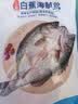 仙泉湖三去白蕉海鲈鱼1斤/条净膛刺少肉厚珠海特产500g海鲜水产生鲜食材 实拍图