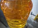 金龙鱼 食用油 非转基因 物理压榨玉米油6.18L（蕴含植物甾醇） 实拍图