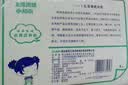 双灯平板纸卫生纸 擦手纸巾厕纸草纸800克（新老包装交替发货） 实拍图