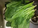 【24小时菜】菠菜苗250g(长度≤20cm) 实拍图