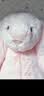 Jellycat害羞乳白色邦尼兔动物毛绒玩偶安抚玩偶娃娃送礼生日新婚礼物 害羞胭脂粉色邦尼兔 Medium 实拍图