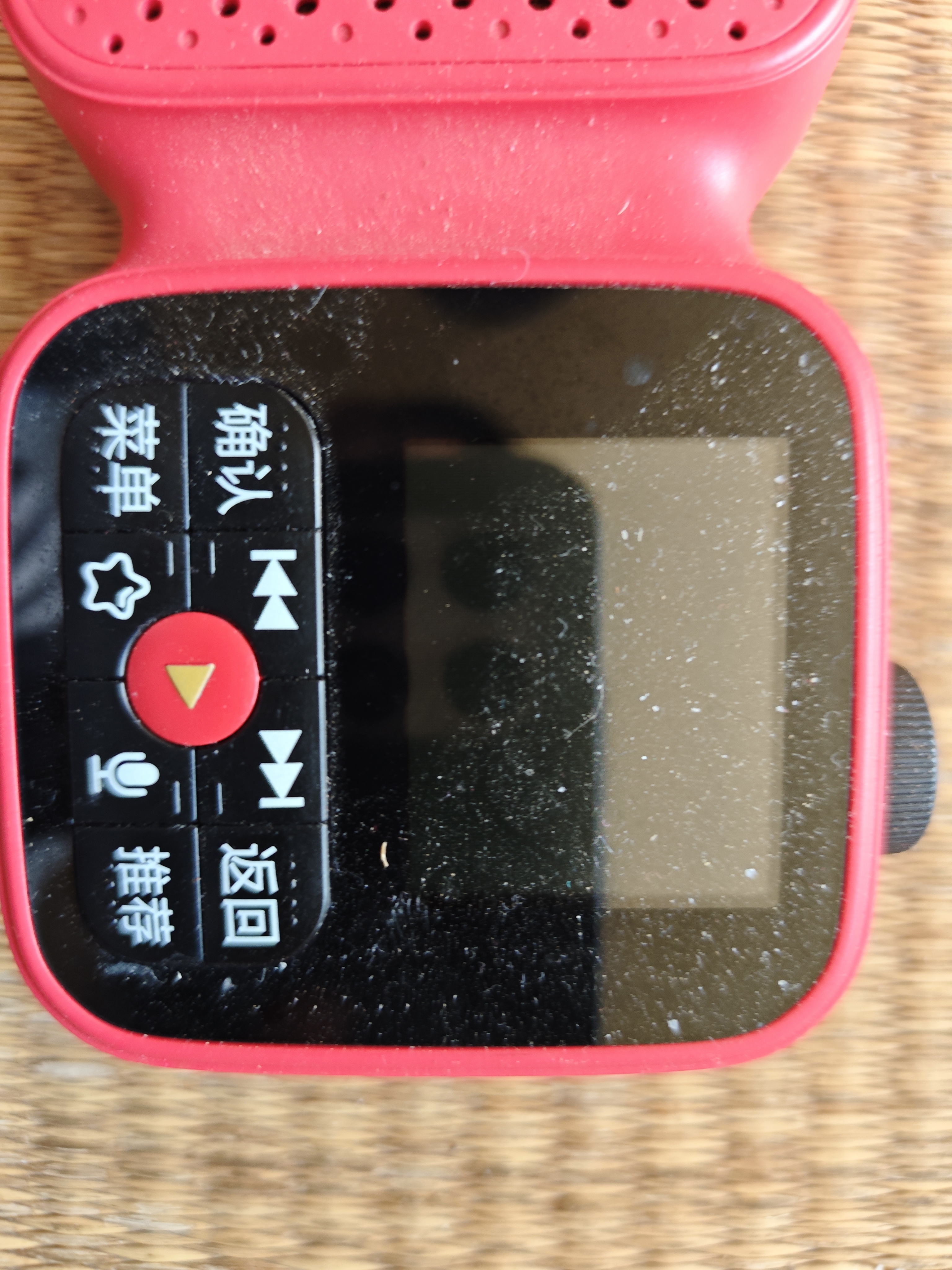 喜马拉雅好声音老年陪伴机SE户外便携AI智能网络FM收音机4G语音播报多功能故事机音箱音响老人父母中秋生日礼物 实拍图