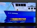 TCL雷鸟电视 55雀4 55英寸 高阶VA屏 144Hz高刷 32G大内存 低蓝光护眼认证  平板电视机55F270C-A 实拍图