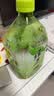 康师傅绿茶1L*12瓶 低糖茶饮料饮品大瓶饮料 整箱装 实拍图