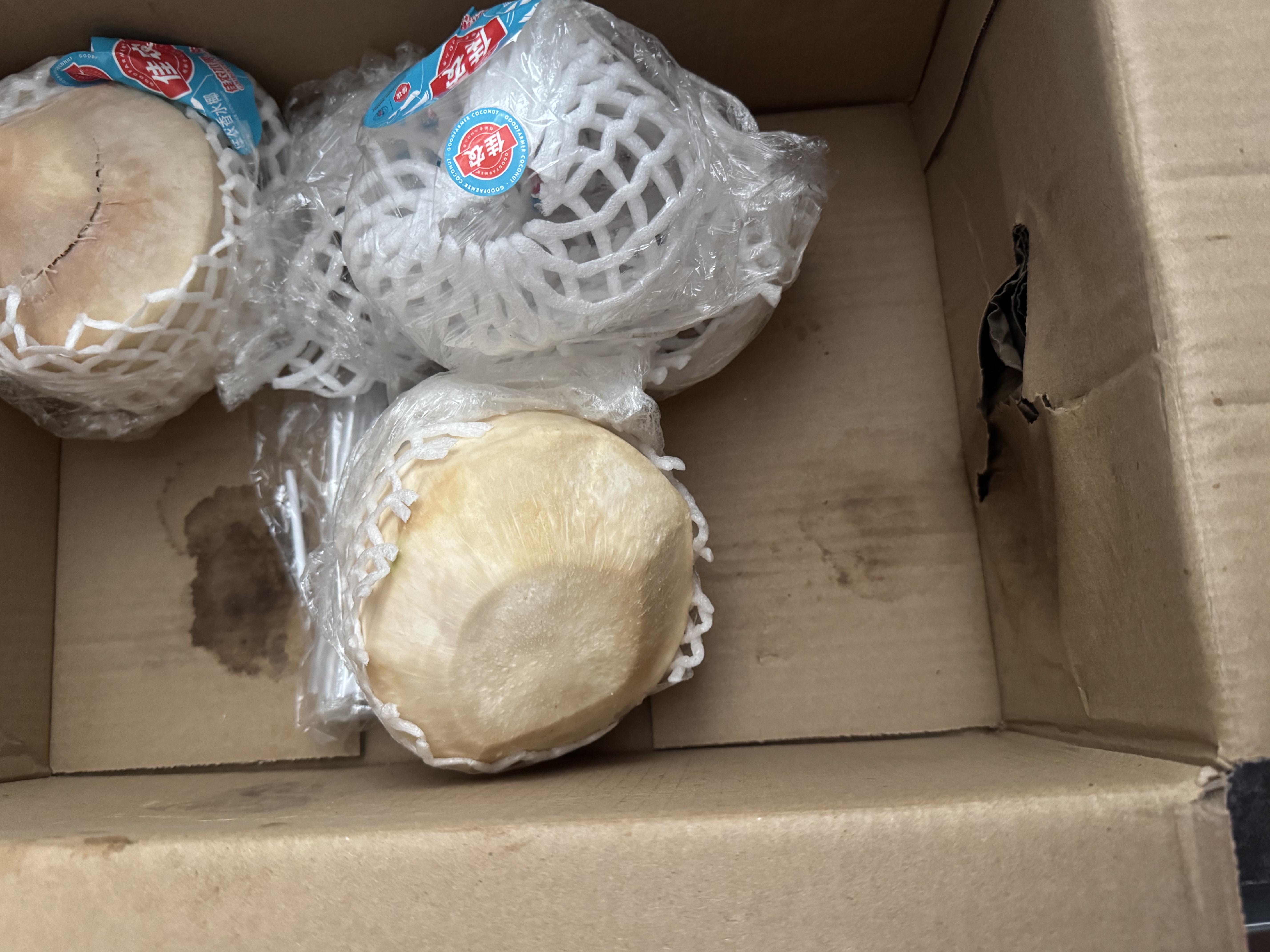 佳农泰国进口椰青 6粒单果约800g赠开椰器吸管 生鲜水果送礼 包邮 实拍图