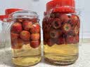 拜杰泡酒瓶玻璃罐泡酒容器泡菜坛酵素瓶储物罐果酒瓶3L泡酒罐 实拍图
