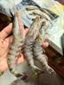 鲜京采 鲜冻大号黑虎虾 去冰净重2斤 31-40只/盒 美食大赛同款 国庆 实拍图
