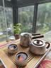 TILIVING[张晚意同款]纯钛茶具泡茶器全套旅行茶具套装功夫泡茶壶茶杯整套 实拍图