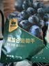 西域美农 黑加仑葡萄干250g 新疆特产大颗粒吐鲁番提子干休闲零食烘焙原料 实拍图