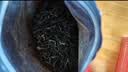 三隐 锡兰红茶奶茶专用红茶粉500g手打柠檬红茶斯里兰卡港式原材料 实拍图
