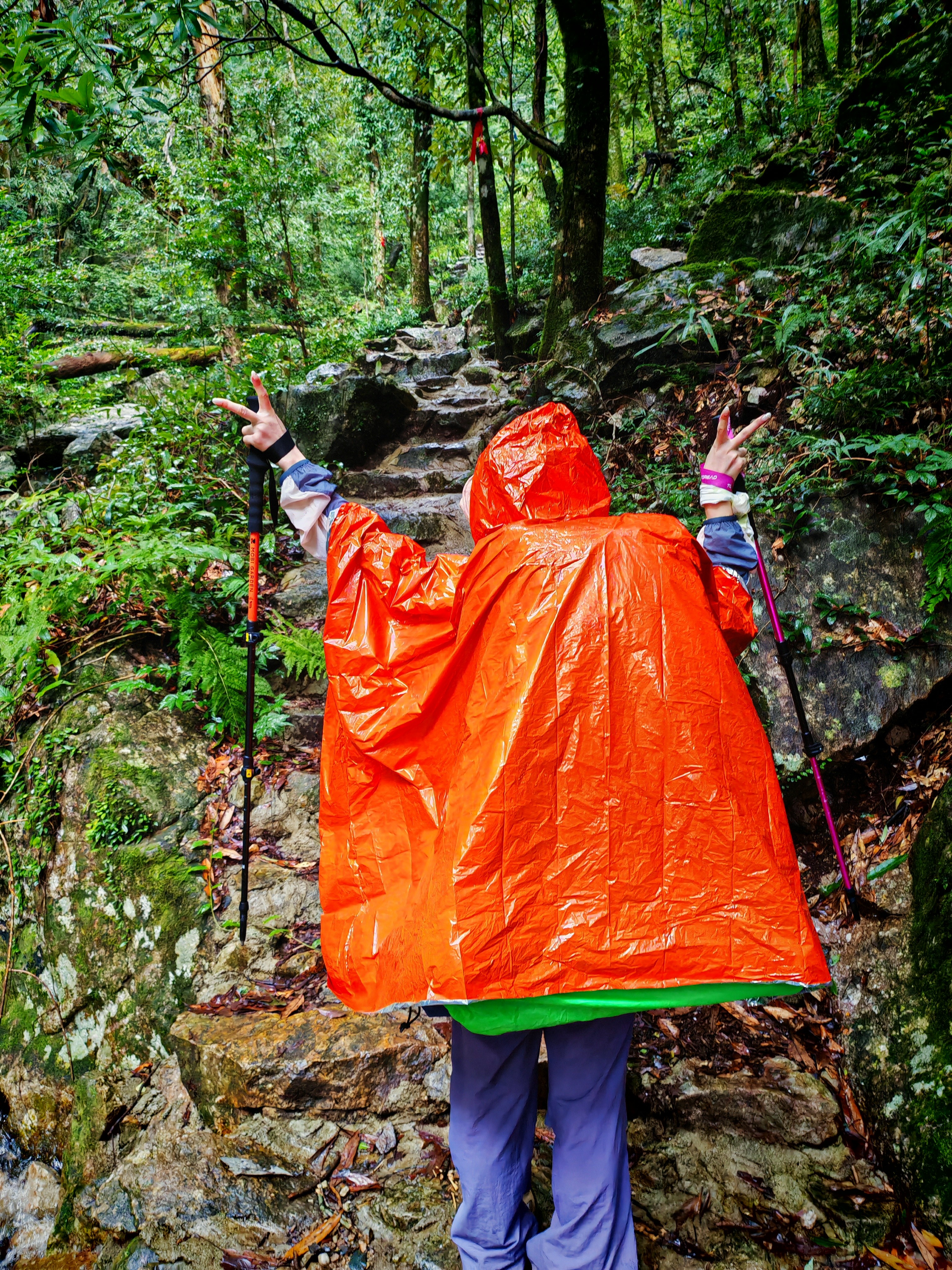 探路者（TOREAD）喀纳登山杖碳纤维伸缩手杖户外徒步超轻便携爬山装备拐杖 树莓粉 实拍图