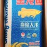 金龙鱼东北大米 盘锦大米10斤 蟹稻共生蟹田大米 实拍图