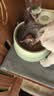 LEGENDSANDY蓝氏全价猫粮生鲜高能系列成猫幼猫 试用 试吃 猎鸟乳鸽 50g*5 实拍图