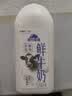蒙牛（MENGNIU）现代牧场鲜牛奶1500ml巴氏杀菌桶装鲜牛奶 实拍图