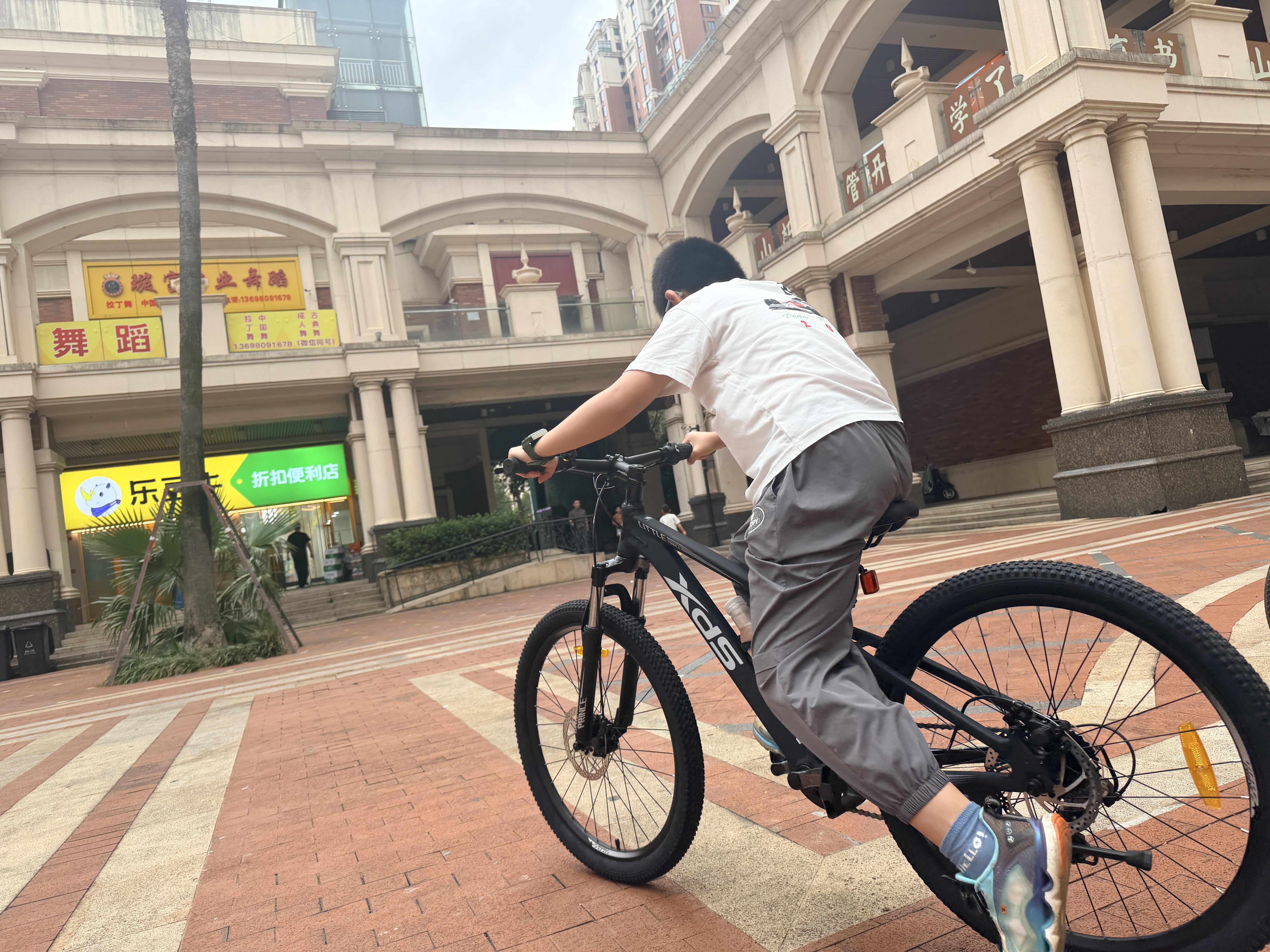 喜德盛（xds）儿童自行车小王子变速车7速青少年学生通勤运动单车黑银24英寸 实拍图