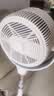 艾美特（AIRMATE）【全屋循环】电风扇空气循环扇大风力家用AI语音遥控卧室一级能效直流变频安静轻音落地扇 SRD259 实拍图