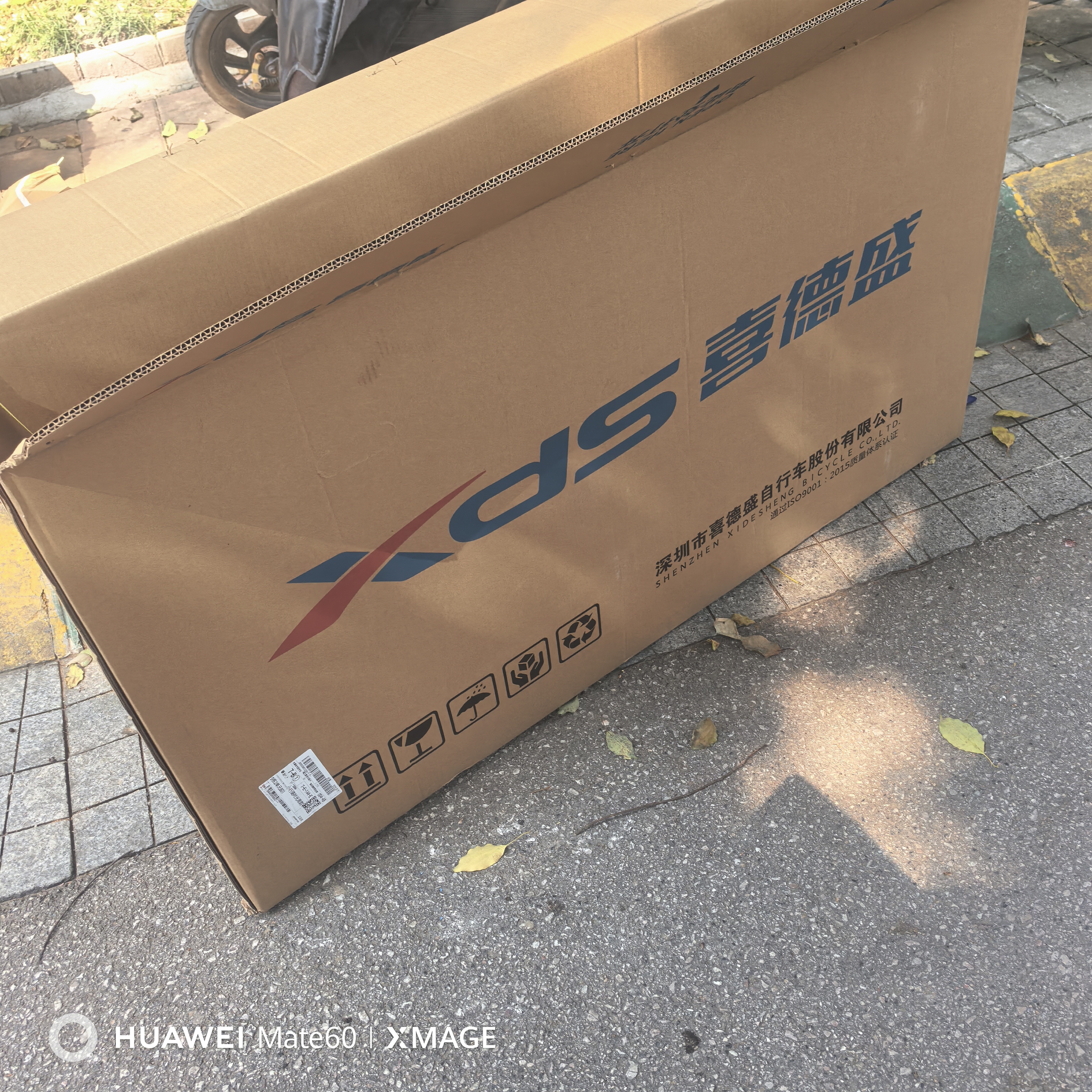喜德盛（xds）儿童自行车小王子变速车7速青少年学生通勤运动单车黑银24英寸 实拍图