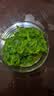 云山半海藻沙拉200g*5袋裙带菜开袋即食海草海带丝凉拌菜日式寿司 实拍图